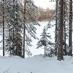 Viipusjaervi 11 By Interhome * Ruka