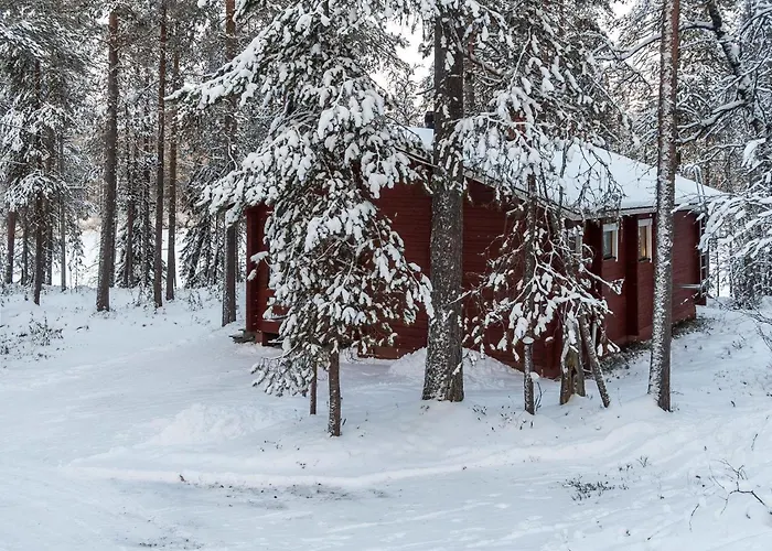 Viipusjaervi 11 By Interhome Ruka