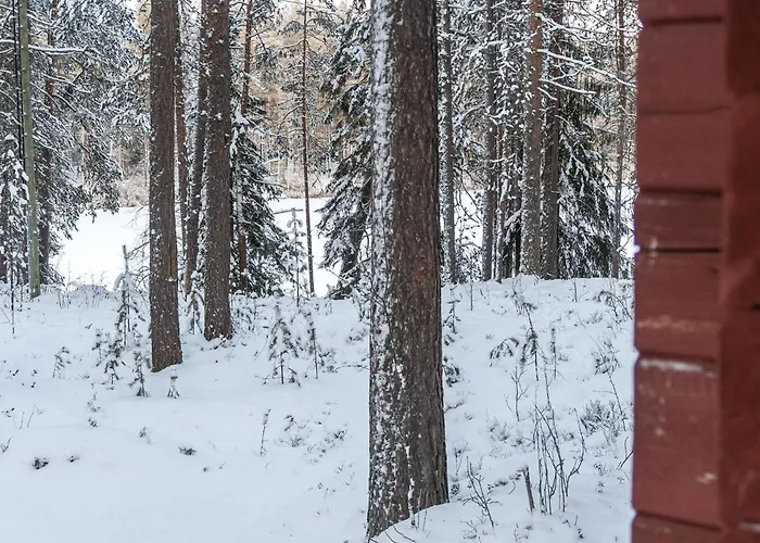 Viipusjaervi 11 By Interhome * Ruka