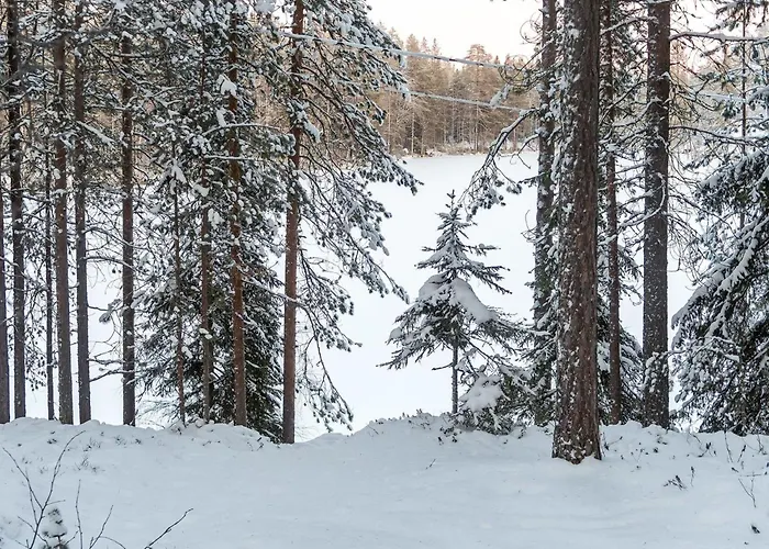 Viipusjaervi 11 By Interhome * Ruka